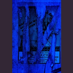 Gerd Mario Grill, Blue Krauts, 120cm x 80cm, FineArtPrint auf Gewebe, Edition 30 Stück